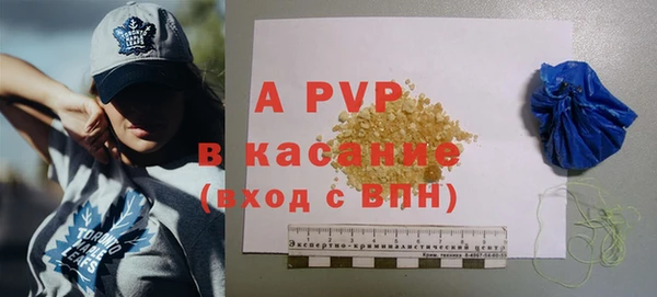 молекула духа Арсеньев