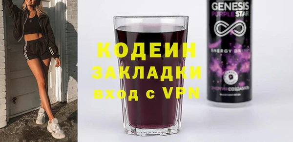 молекула духа Арсеньев