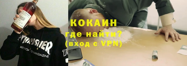 молекула духа Арсеньев