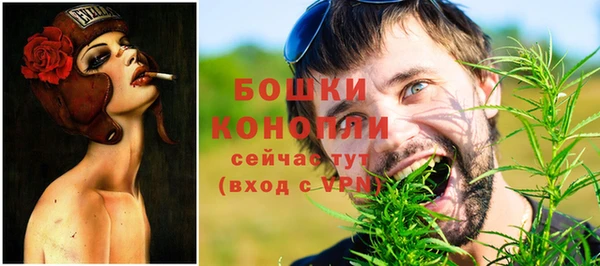 молекула духа Арсеньев