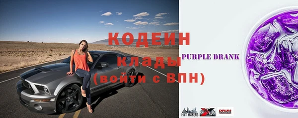 молекула духа Арсеньев